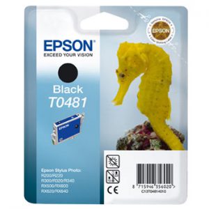 Epson T0481