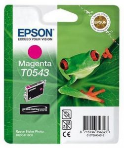 Epson T0543